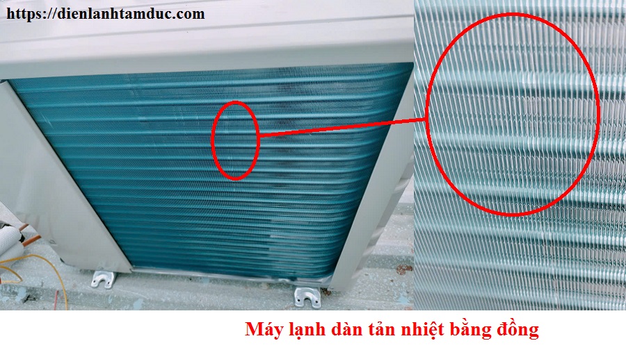 dan-tan-nhiet-bang-dong