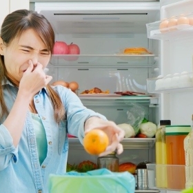 Các Cách Tự Vệ Sinh Và Khử Mùi Hôi Tủ Lạnh Triệt Để Hiệu Quả