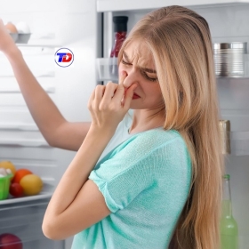 Nguyên Nhân Tủ Lạnh Kém Lạnh Và Cách Khắc Phục Nhanh Chóng