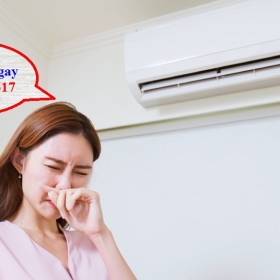 Tác Hại Khi Cài Đặt Nhiệt Độ Máy Lạnh Thấp Đối Với Sức Khỏe
