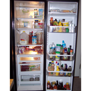 Sửa Tủ Lạnh Tại Phường Tam Bình TPHCM 