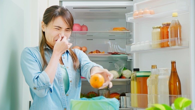 Cách tự vệ sinh và khử mùi hôi tủ lạnh triệt để