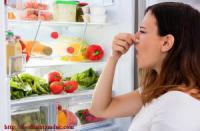 Nguyên nhân thực phẩm trong tủ lạnh  thường bị hư hỏng vào mùa nắng